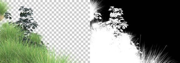 Melocotón de hierba aislado en el fondo con máscara. representación 3d - ilustración - Foto, imagen
