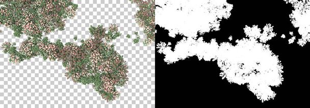 Острів листя ізольований на фоні з маскою. 3d візуалізація - ілюстрація
 - Фото, зображення