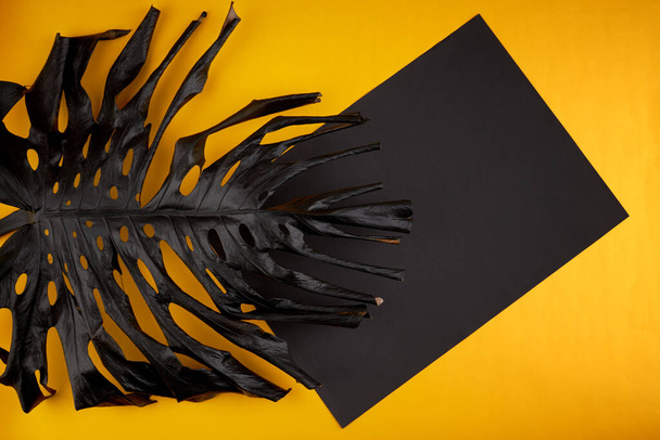 Tropischer Rahmen mit schwarzem Monstera-Palmblatt. Luxus und sommerliches Minimalkonzept - Foto, Bild