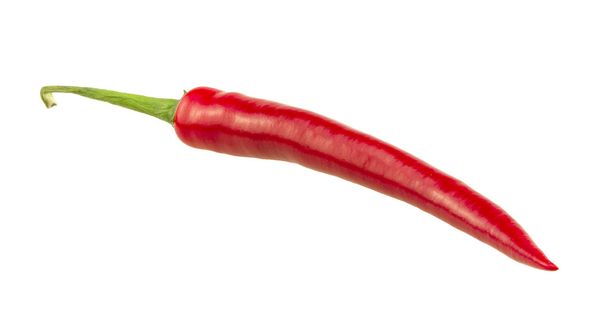 Красный острый перец чили, выделенный на белом
 - Фото, изображение