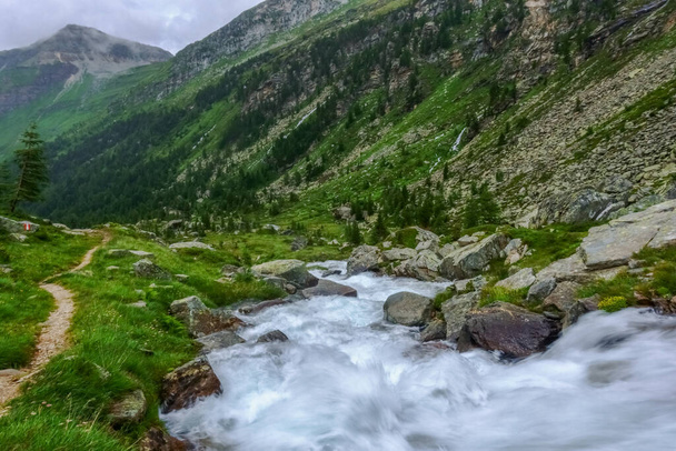 út mellett egy hegyi patak, miközben túrázás a nyáron - Fotó, kép