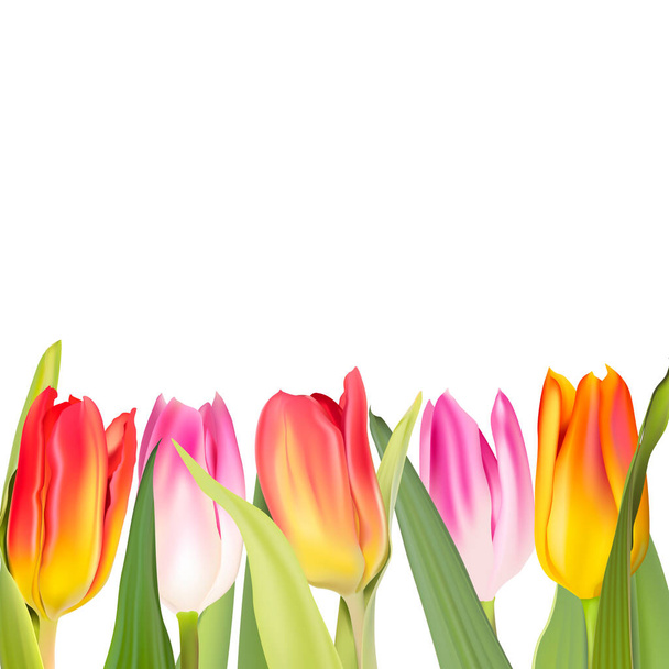 Fehér háttér dekoráció tulipán virágok - Vektor, kép
