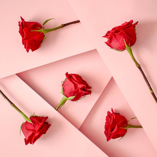ピンクの背景に赤いバラで作られた創造的なレイアウト。壁紙や花は異なる角度で異なるレベルで配置されます。フィールドの深さと最小限の愛フラットレイコンセプト. - 写真・画像