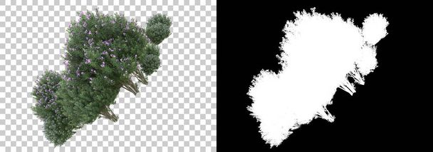 Трава и цветы острова изолированы на заднем плане с маской. 3D рендеринг - иллюстрация - Фото, изображение