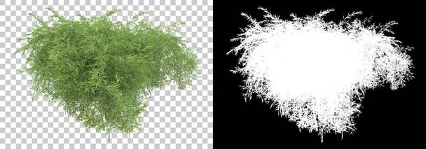 Trawa i kwiaty wyspa odizolowana na tle z maską. 3d renderowanie - ilustracja - Zdjęcie, obraz