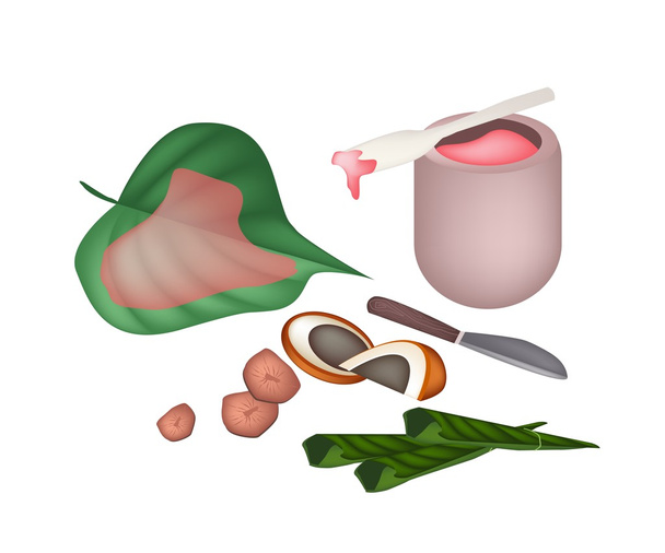 Ripe Areca Nuts and Betel Leaves with Red Lime - Vector, Image