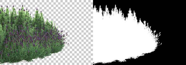 Zielone letnie rośliny odizolowane na tle z maską. 3d renderowanie - ilustracja - Zdjęcie, obraz