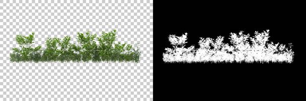 Plantas verdes de verano aisladas sobre fondo con máscara. representación 3d - ilustración - Foto, imagen