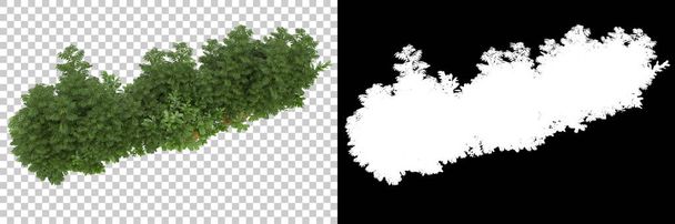 Зеленые летние растения изолированы на заднем плане с маской. 3D рендеринг - иллюстрация - Фото, изображение