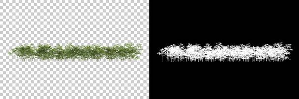 Zöld nyári növények elszigetelt háttérben maszkkal. 3d renderelés - illusztráció - Fotó, kép