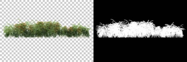 Zielone letnie rośliny odizolowane na tle z maską. 3d renderowanie - ilustracja - Zdjęcie, obraz