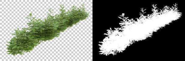 Zöld nyári növények elszigetelt háttérben maszkkal. 3d renderelés - illusztráció - Fotó, kép