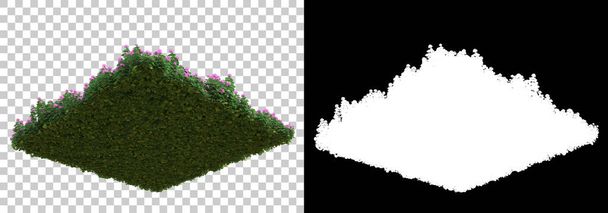 Зеленые летние растения изолированы на заднем плане с маской. 3D рендеринг - иллюстрация - Фото, изображение