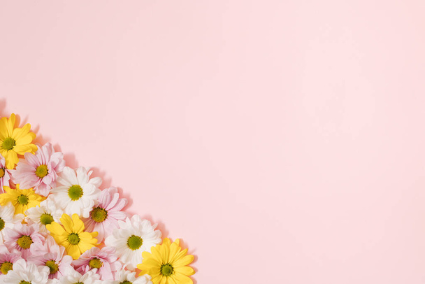 Composición del color de las flores sobre un fondo rosa. - Foto, imagen