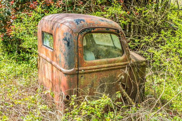 Старовинний старий вантажівка сидить в лісі неушкодженою з частиною кабіни тільки іржавіння і гниття піддається впливу погоди на відкритому повітрі в оточенні бур'янів
 - Фото, зображення