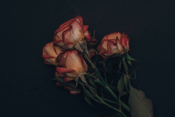 monte de rosas secas pouco no fundo preto - Foto, Imagem