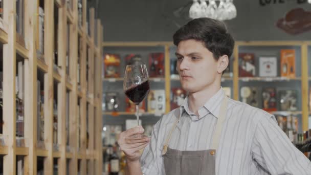 Enólogo degustação de vinho tinto em sua loja - Filmagem, Vídeo