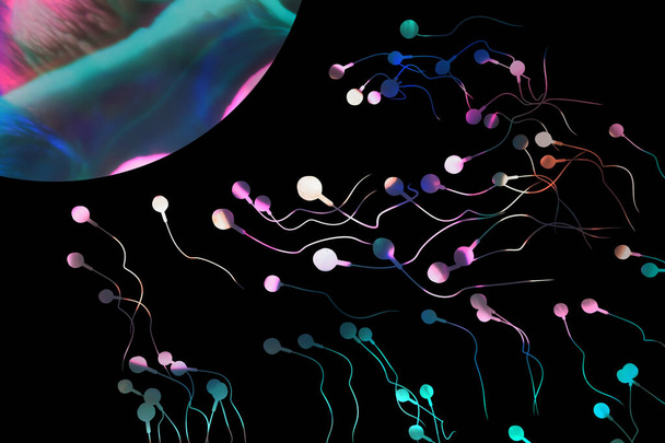 Плавание расы сперматозоидов для оплодотворения плодородной человеческой яйцеклетки абстрактной 3D иллюстрации - Фото, изображение