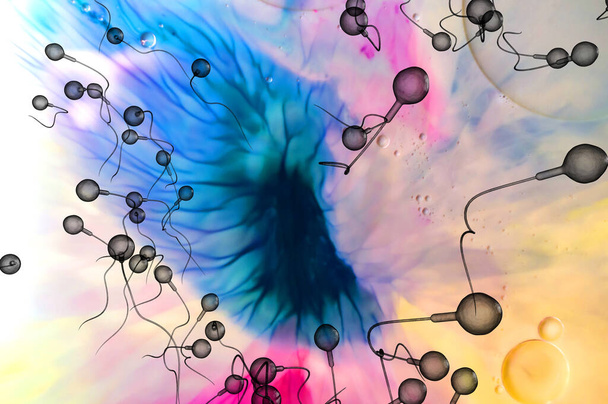 Natation course de sperme pour imprégner un oeuf humain fécond illustration 3D abstraite - Photo, image