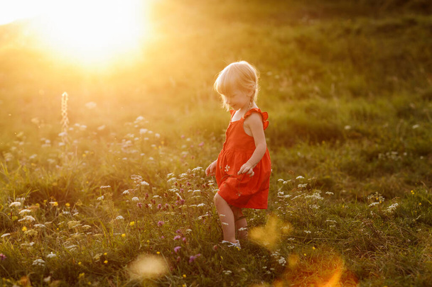 Πορτρέτο ενός μικρού όμορφου κοριτσιού με κόκκινο φόρεμα στη φύση τις καλοκαιρινές διακοπές. Το παιχνίδι στο πράσινο πεδίο την ώρα του ηλιοβασιλέματος. Κλείσε. Η έννοια των οικογενειακών διακοπών και του χρόνου μαζί - Φωτογραφία, εικόνα