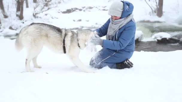 Mulher caucasiana com cão husky siberiano brincando com neve no inverno. Banco fluvial. - Filmagem, Vídeo