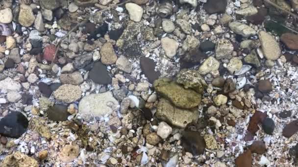 Top näkymä huojuvaa kristallinkirkas järvi vettä ja paljon kiviä siinä - Materiaali, video
