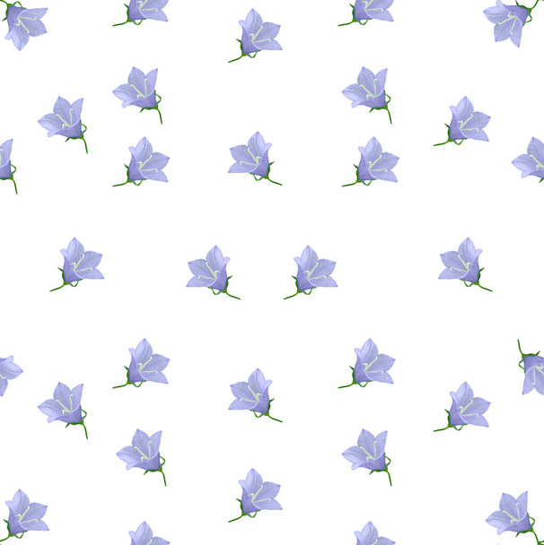 padrão sem costura com flores sino lilás, fundo branco - Foto, Imagem