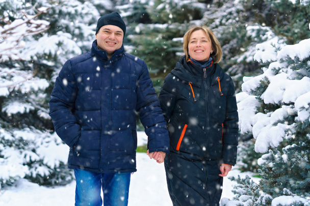 Bir kış ormanında yürüyen çift, iki yetişkin insan, erkek ve kadın, güzel doğa ve parlak karlı köknar ağaçları. - Fotoğraf, Görsel