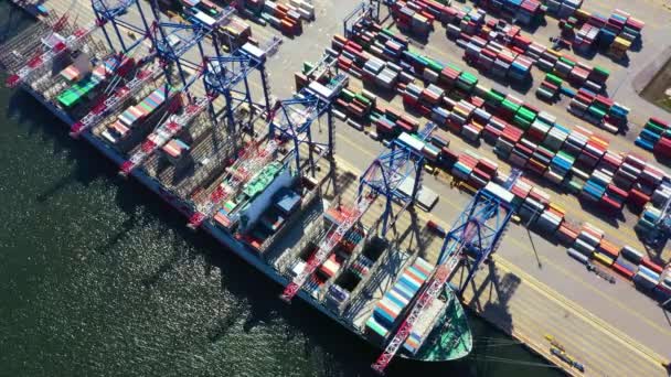 Deniz limanından gelen konteyner gemisi sevkiyat ve konteyner deposu için çalışıyor. Küresel lojistik kavramına taşımacılık veya ithalat için uygun kullanım. - Video, Çekim