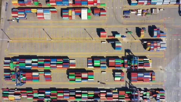 Container schip in export en import business en logistiek. Vrachtvervoer naar de haven met een kraan. Vervoer over water International. Luchtzicht - Video