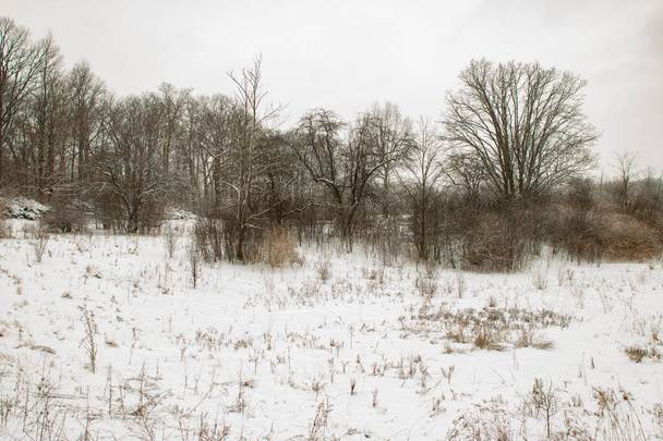 минималистский зимний пейзаж панорама стиль фото. Уникальная перспектива - Фото, изображение