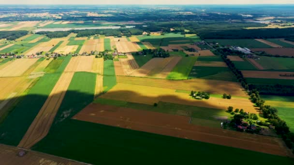 Franjas verticales de parcelas agrícolas de diferentes cultivos. Vista aérea disparar desde el dron directamente sobre el campo - Imágenes, Vídeo