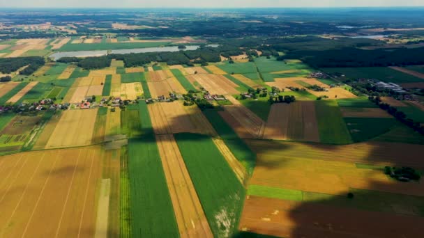 Bandes verticales de parcelles agricoles de différentes cultures. Vue aérienne prise depuis un drone situé directement au-dessus du champ - Séquence, vidéo