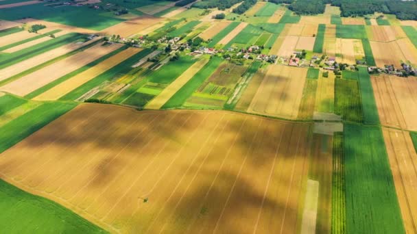 Különböző terményű mezőgazdasági parcellák függőleges csíkjai. Légi felvétel a drónról, közvetlenül a mező felett. - Felvétel, videó