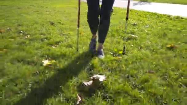 Зрелая белая женщина в хорошей форме занимается нордической ходьбой с треккинговыми палками и собакой в парке. Пожилая женщина делает скандальные прогулки со своим питомцем в городе. Спортивная активность с собаками для пожилых - Кадры, видео