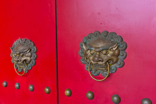 dettagli di, vecchia porta in legno rosso vintage con ornamento testa di leoni - Foto, immagini