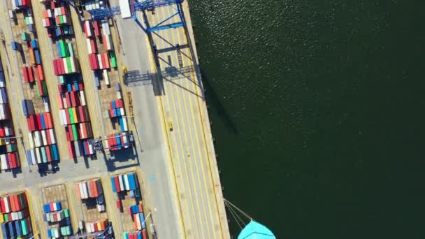 Nave container in attività di esportazione e importazione e logistica. Spedizione merci al porto con gru. Trasporto marittimo internazionale. Vista aerea - Filmati, video