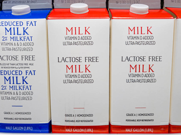 Pół galonowe kartony mleka bez laktozy na półce lodówki. Jest to specjalny produkt przeznaczony do spożycia przez osoby z nietolerancją laktozy z powodu niedoboru enzymatycznego laktazy u dorosłych.. - Zdjęcie, obraz
