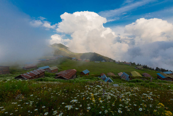Pokut Plateau é um planalto localizado no distrito de Amlhemin, província de Rize.. - Foto, Imagem
