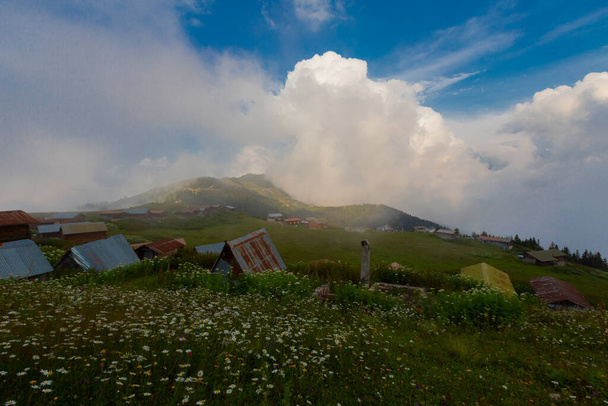 Pokut Plateau is een plateau in het district Amlhemin van de provincie Rize.. - Foto, afbeelding
