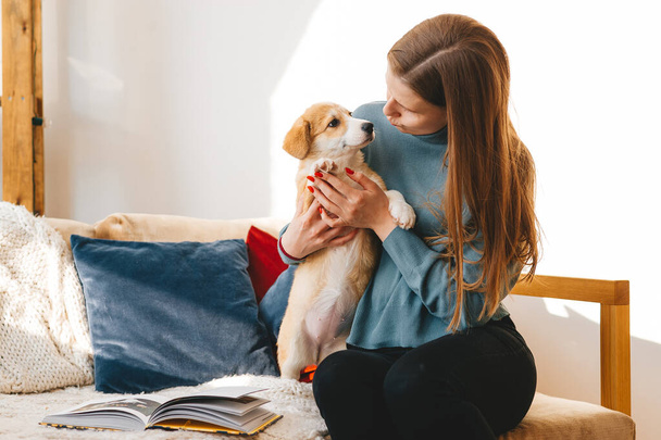 Cheerful girl sitting on bed and playing with puppy. Young woman posing with corgi indoors. - Fotografie, Obrázek