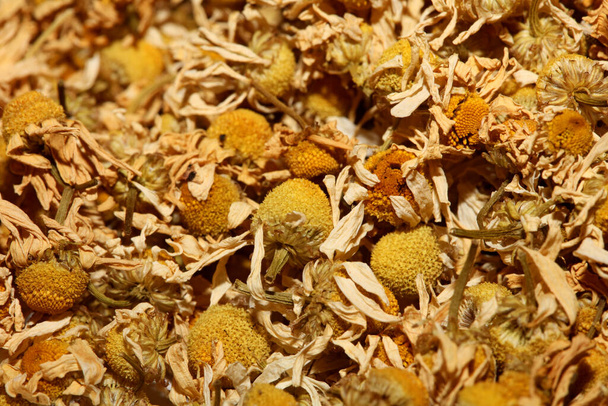 Kamille getrocknet bereit für Tee Makro Hintergrund Matricaria chamomilla Familie asteraceae moderne hochwertige Drucke - Foto, Bild