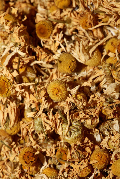 Kamille getrocknet bereit für Tee Makro Hintergrund Matricaria chamomilla Familie asteraceae moderne hochwertige Drucke - Foto, Bild