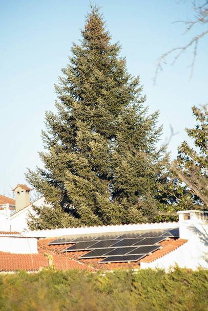 solární panely na střeše domu alternativní energie zelená jedle strom příroda - Fotografie, Obrázek