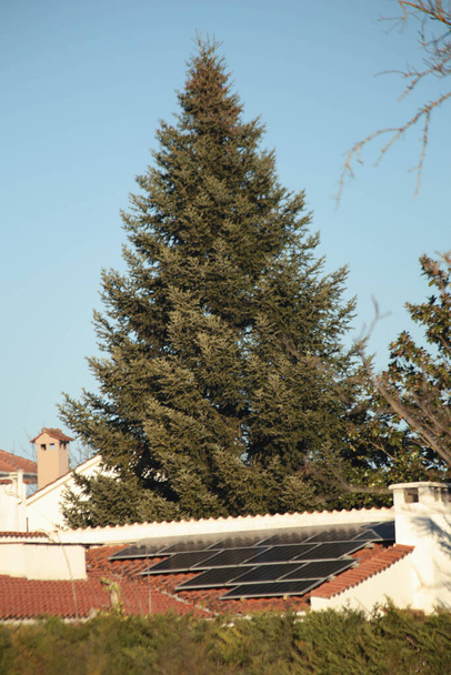zonnepanelen op het dak van een huis alternatieve energie groene dennenboom natuur - Foto, afbeelding