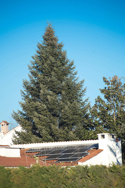 сонячні панелі на даху будинку альтернативна енергія зелене ялинка природа
 - Фото, зображення