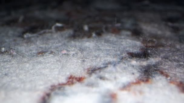 Régi szőnyeg szövet Makró nézet  - Felvétel, videó