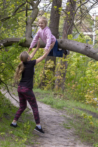 happy teenage girl catches little sister from tree, vertical - Fotó, kép
