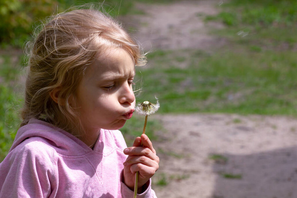 joyeuses petites filles soufflant des graines de pissenlit dans la forêt de confinement - Photo, image