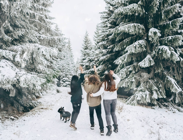 Группа людей из трех друзей весело прыгает на фоне заснеженного зимнего пейзажа. - Фото, изображение